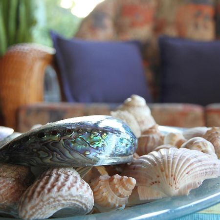 Chalet Romantica Paihia Exteriér fotografie