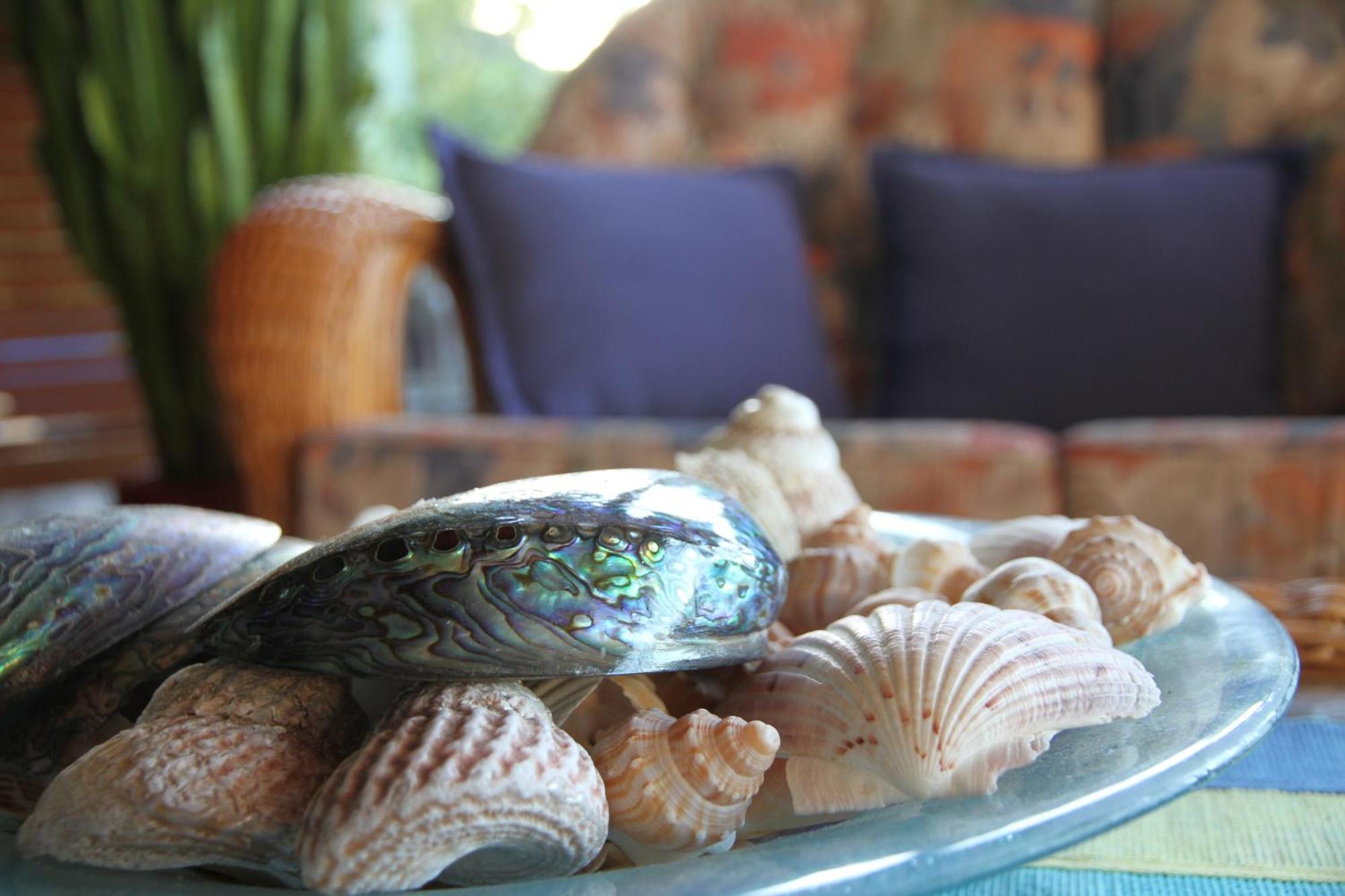 Chalet Romantica Paihia Exteriér fotografie