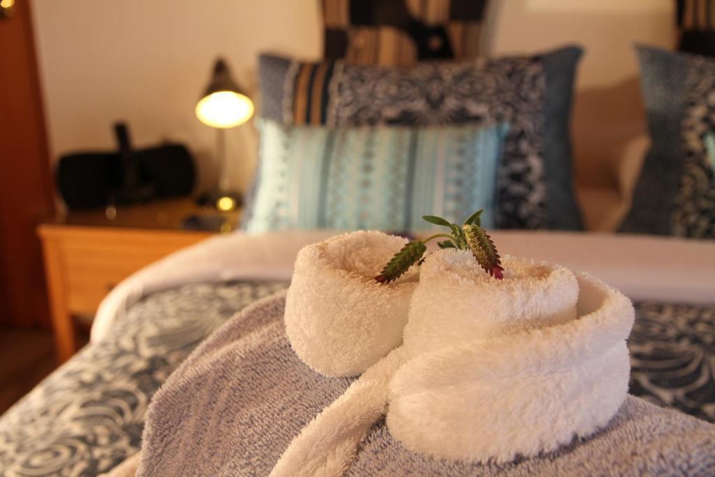 Chalet Romantica Paihia Pokoj fotografie